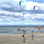 spot kite