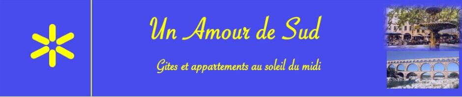 Un amour de Sud