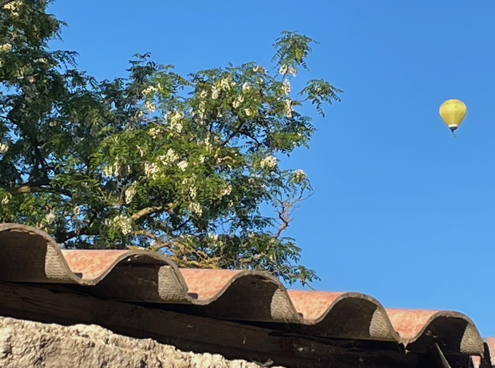 montgolfiére au dessus du mas bouchon